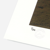 Cotton Rag Paper vs Baryta Paper: Which Is Best for Fine Art Prints?