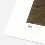 How to Choose the Right Art Print Size for Your Space