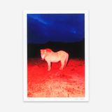Fire Horse