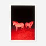 Two Fire Horses