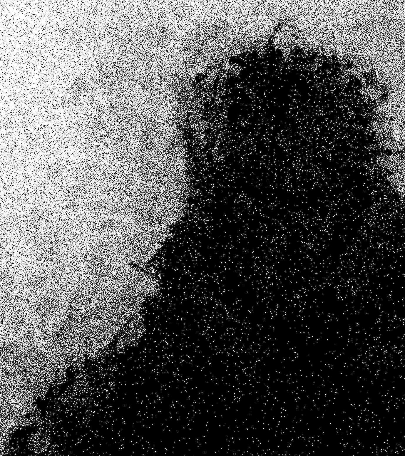 Close-up detail of Anima by Adolf Vatnikaj showing artwork texture and composition