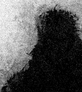 Close-up detail of Anima by Adolf Vatnikaj showing artwork texture and composition